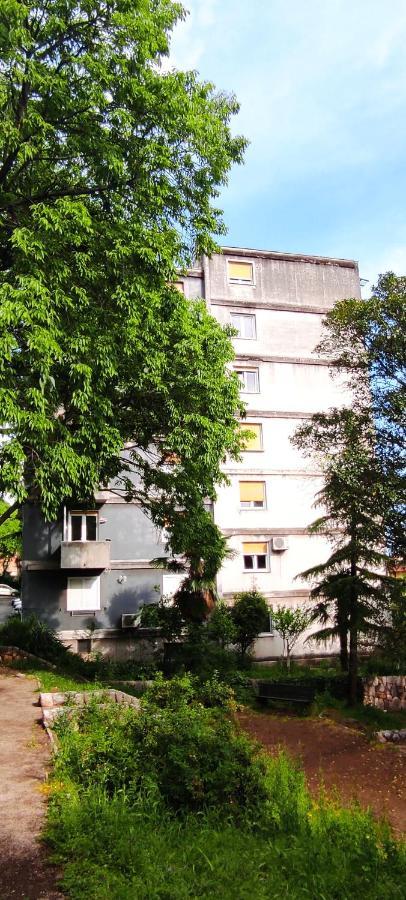 Apartment Inana